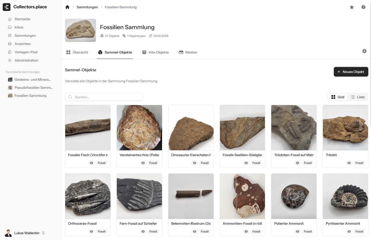 Fossilien-Sammlung digital verwalten 