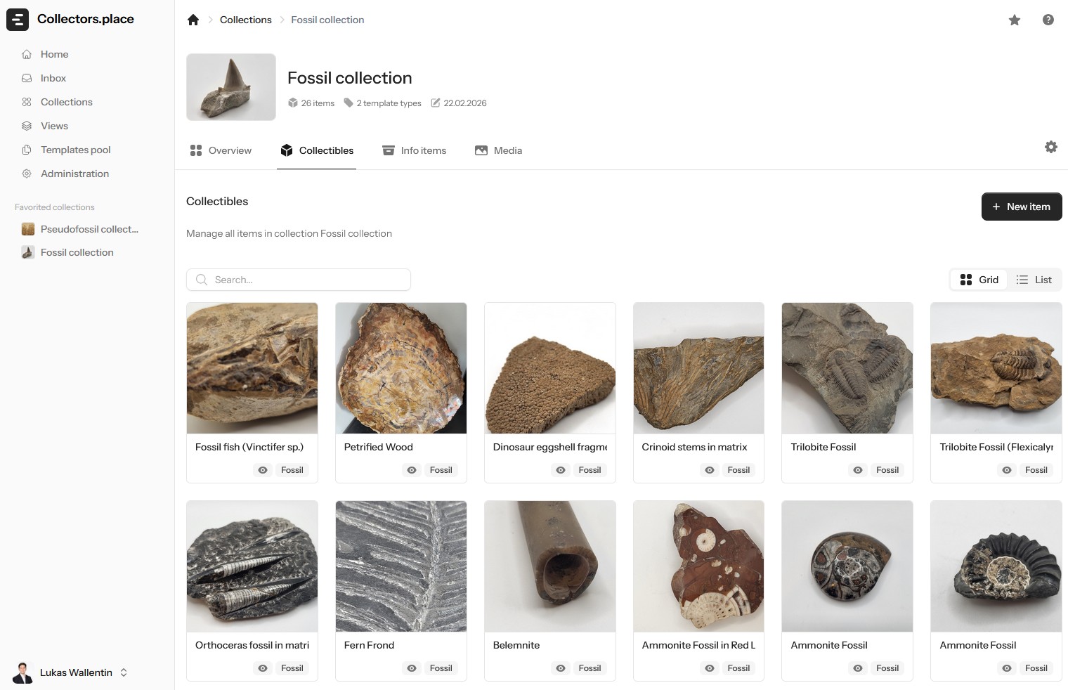 Manage Your Fossil Collection Digitally