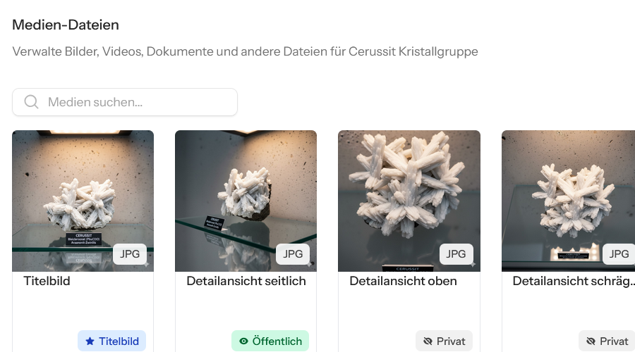 Screenshot: Medien-Manager