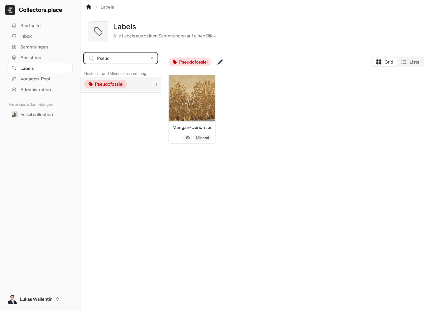 Suche in Labels