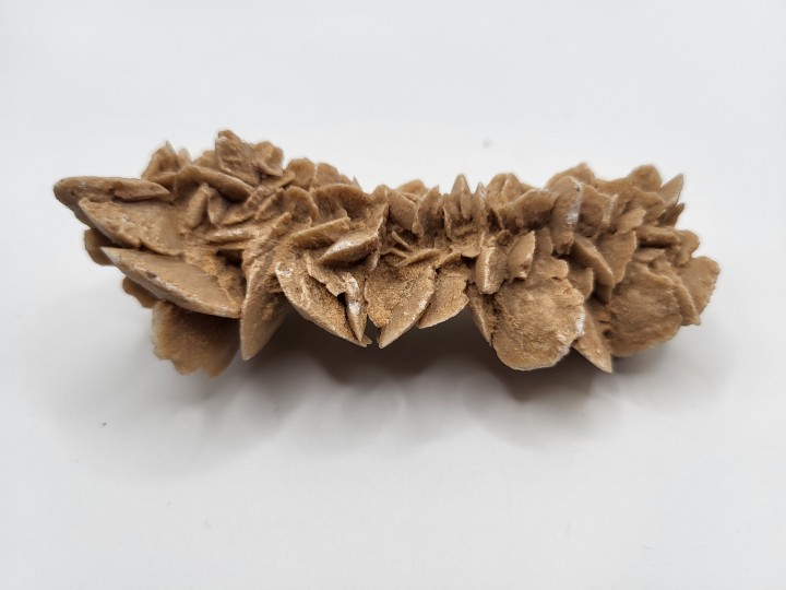 Wüstenrose (Sandrose)