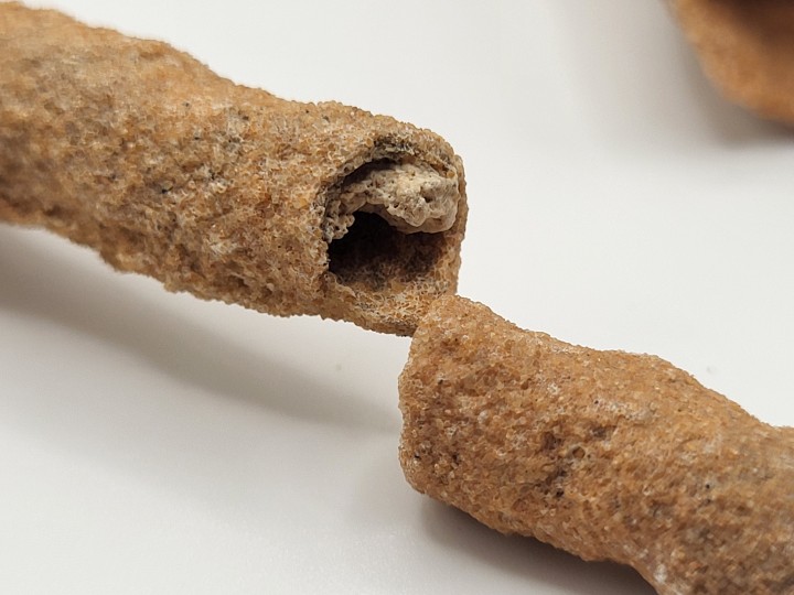 Detail Oberflächenstruktur