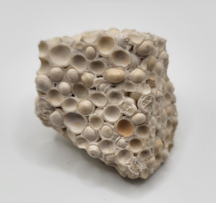 Pseudofossilien Sammlung