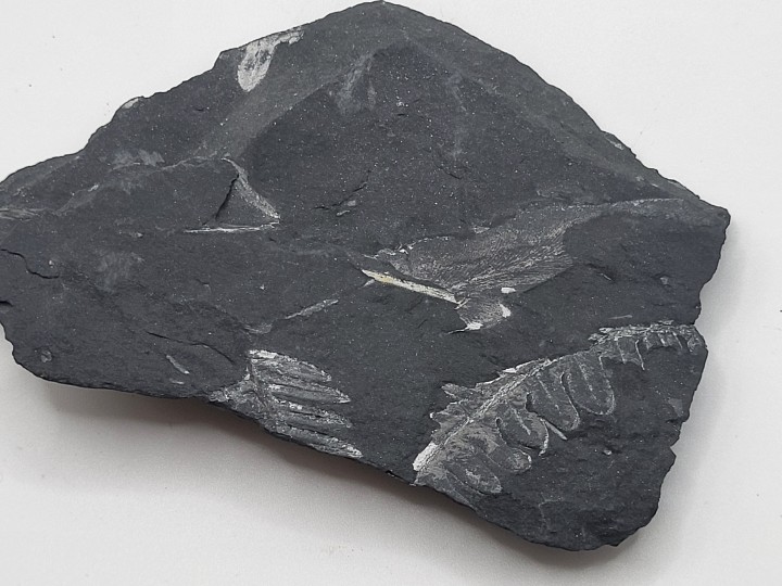 Rückseite der Matrix