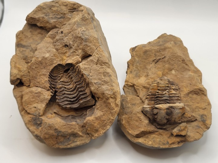 Gesamtansicht Positiv und Negativ