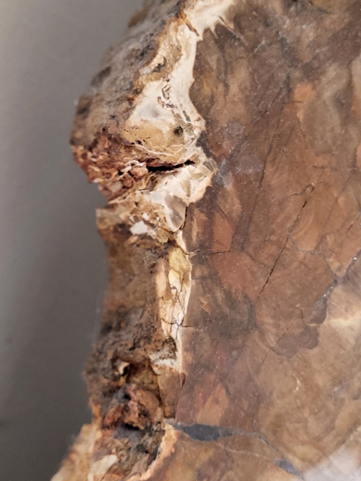 Makroaufnahme der Mineralisierung