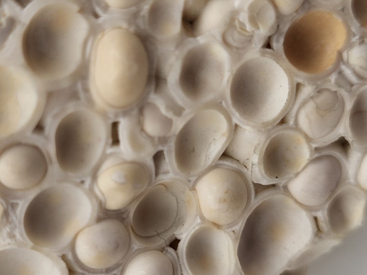 Macro detail of surface