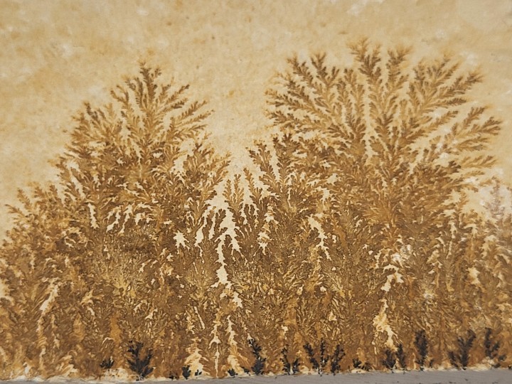 Manganese dendrites on limestone