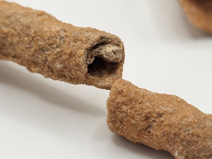 Segment Break Detail