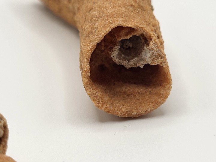 Detail of Tube Opening