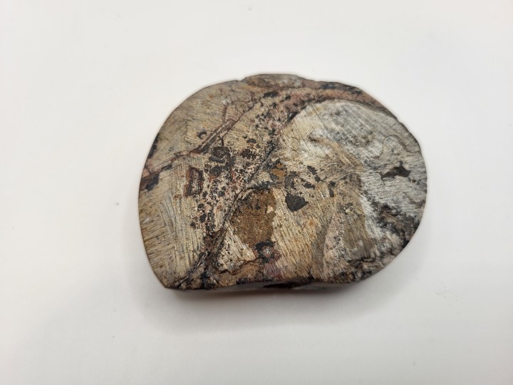 Reverse side (cut and polished)