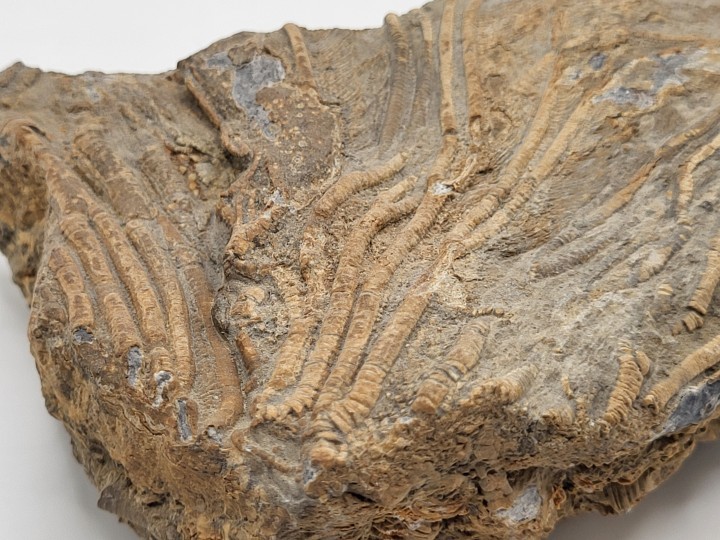 Surface Texture Detail