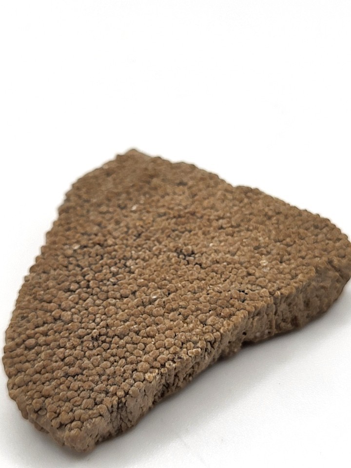 Dinosaur eggshell fragment