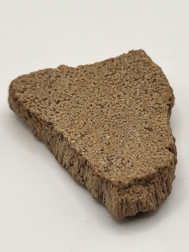 Cross-section and interior view