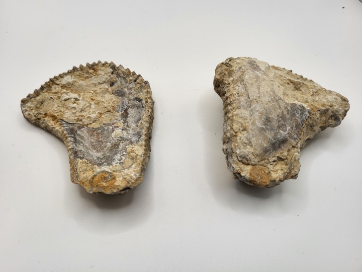 Interior view of valves