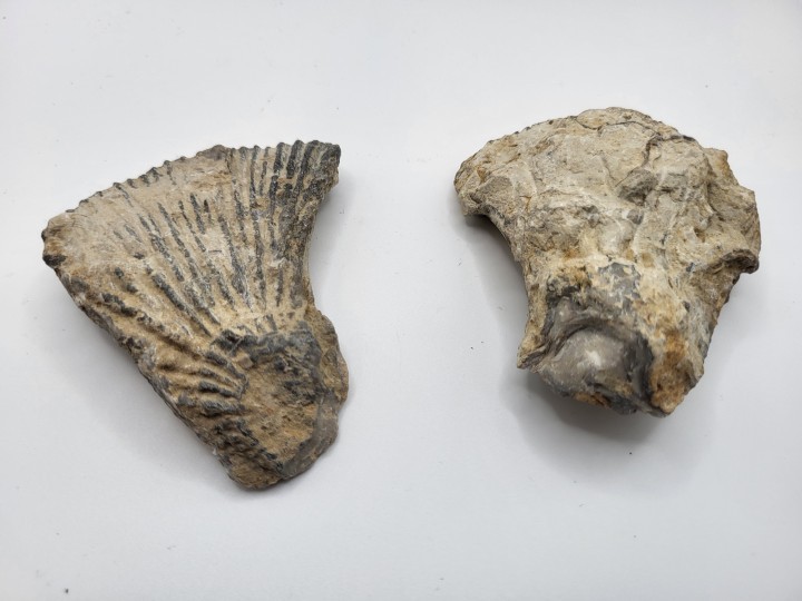 Exterior view of separated valves