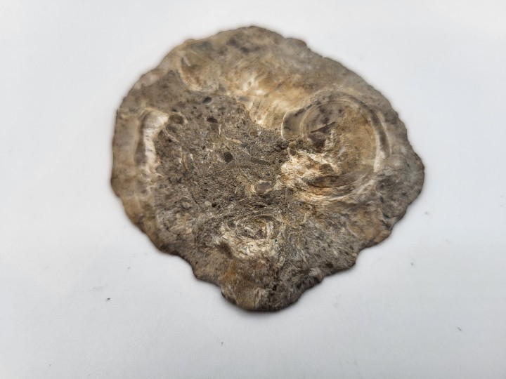 Natural reverse side